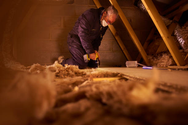 Best Crawl Space Insulation  in Sigourney, IA
